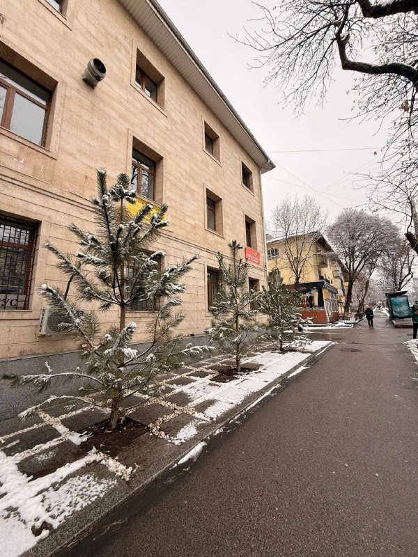 На Ауэзова 120, Self